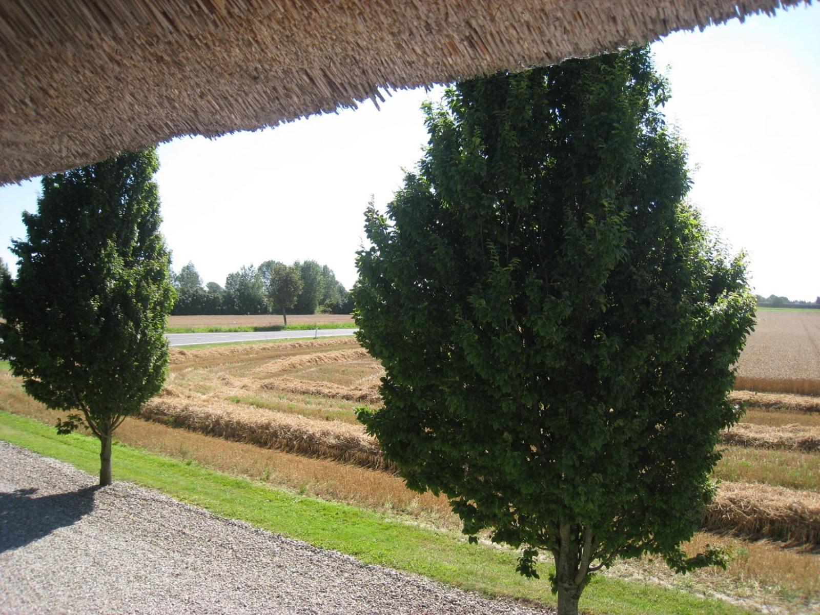 Nabolos Rooms Bovense Exterior photo